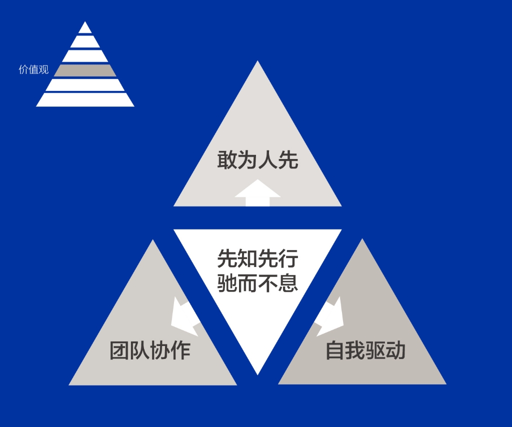 ͵羺˵DNAֵ